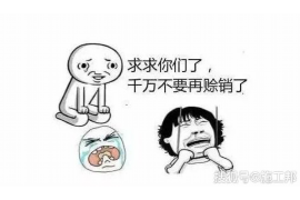 阿拉尔要债公司